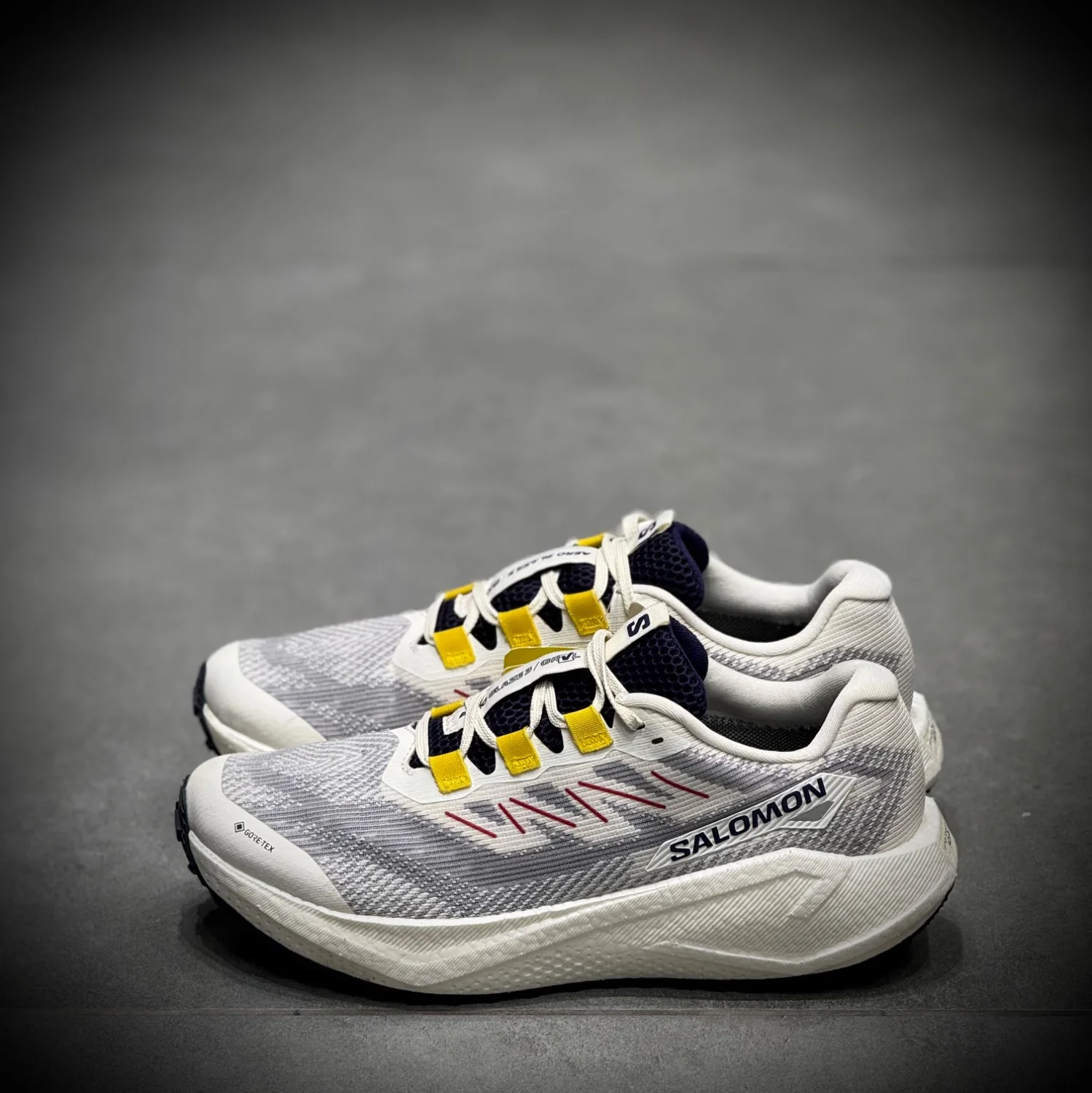 IMG_4241 کتونی رانینگ سالامون Salomon AERO BLAZE 3 GRVL GORE-TEX - Image 1